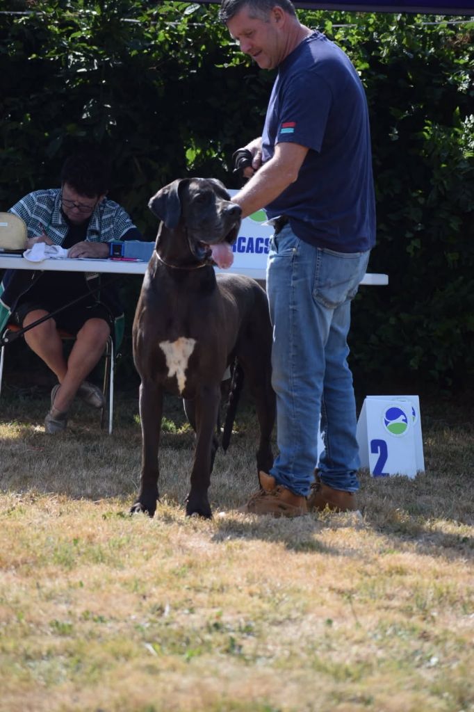 Safira Des Champions du Soleil